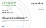 Early Childhood Experience Certifikát